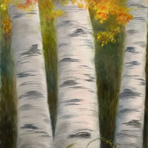 1114-4