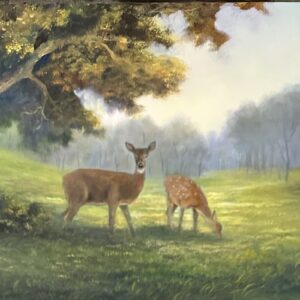 Deer in Field