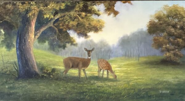 Deer in Field