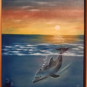 Dolphin Fun