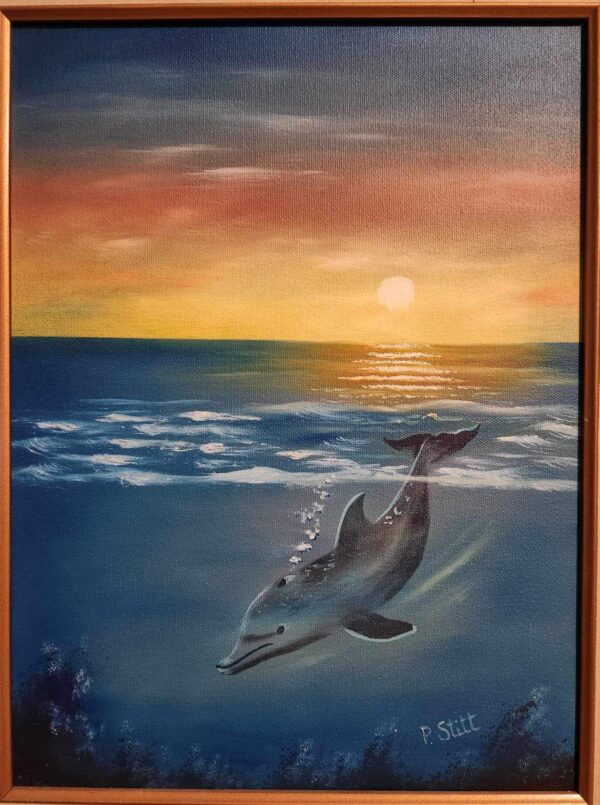 Dolphin Fun